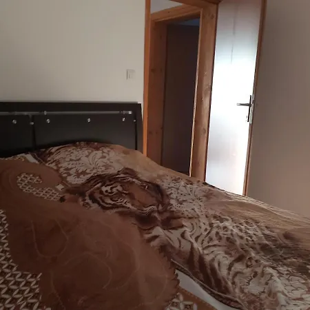 Apartman Zora Iii 公寓 波德戈里察